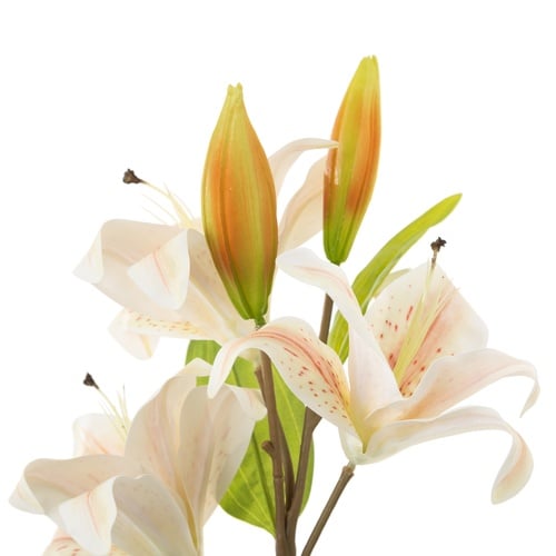 LILYUM ÇİÇEĞİ 86 CM