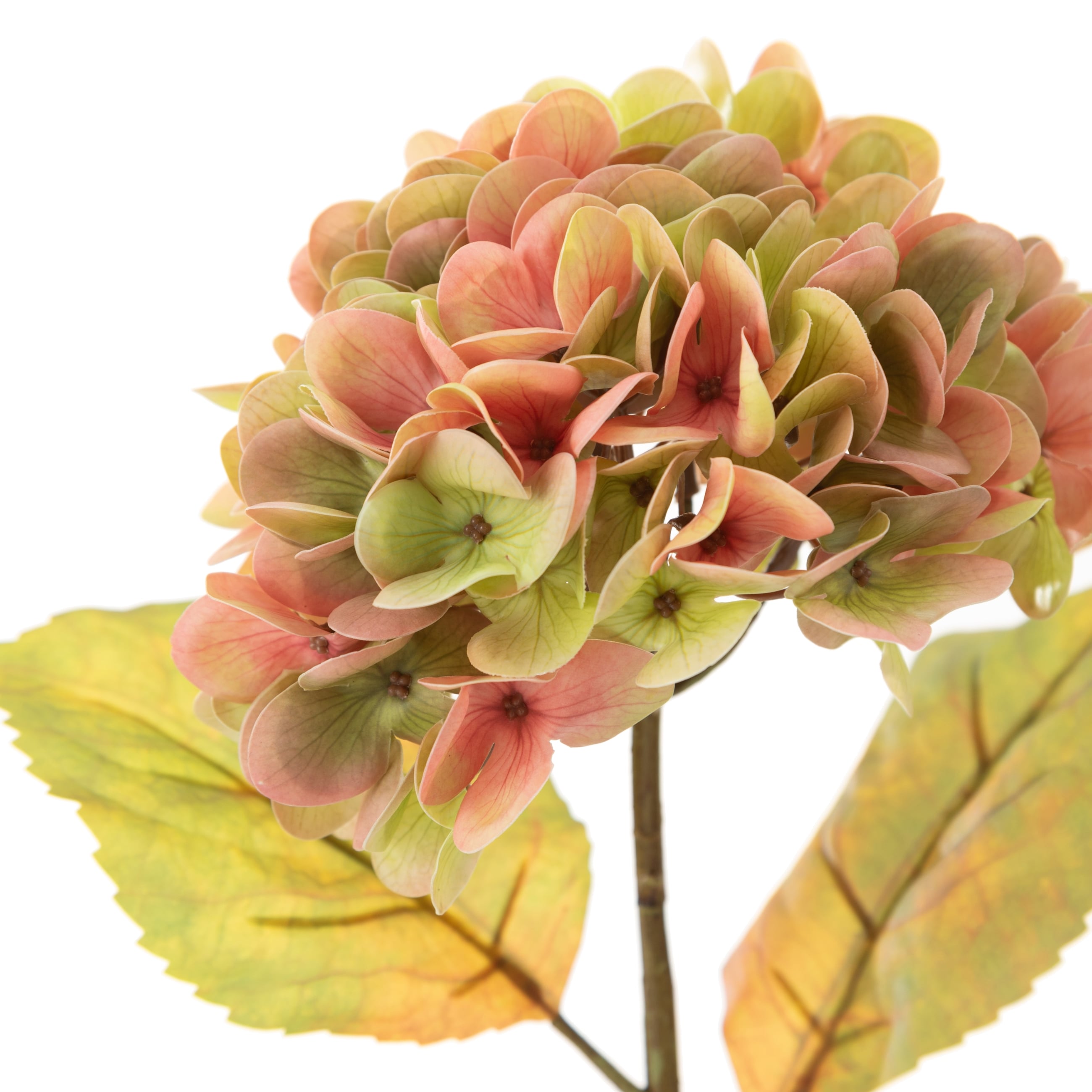 ORTANCA ÇİÇEK YEŞİL  54 CM