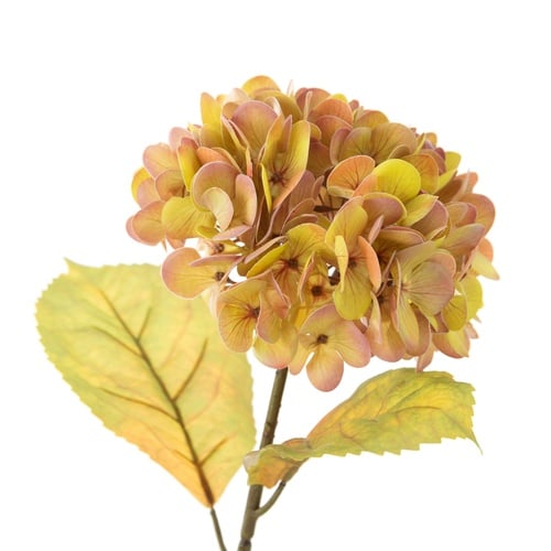 ORTANCA ÇİÇEK AMBER 54 CM