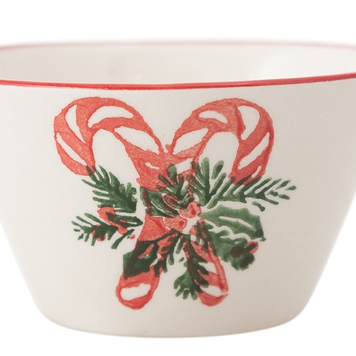  COQUINA ÇEREZLİK10CM