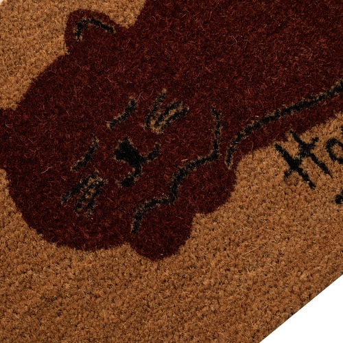 DREAMY CAT KAPI PASPASI 40X60