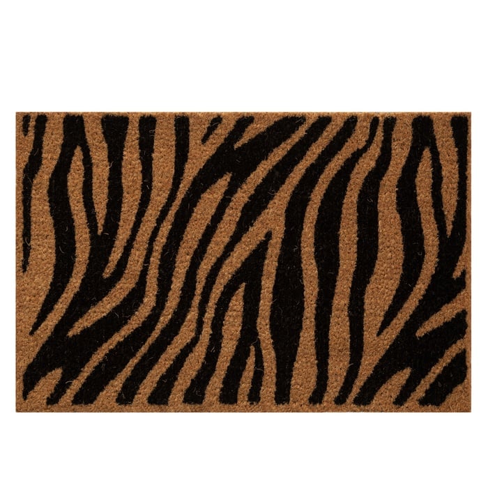 WILD ZEBRA KAPI PASPASI 40X60