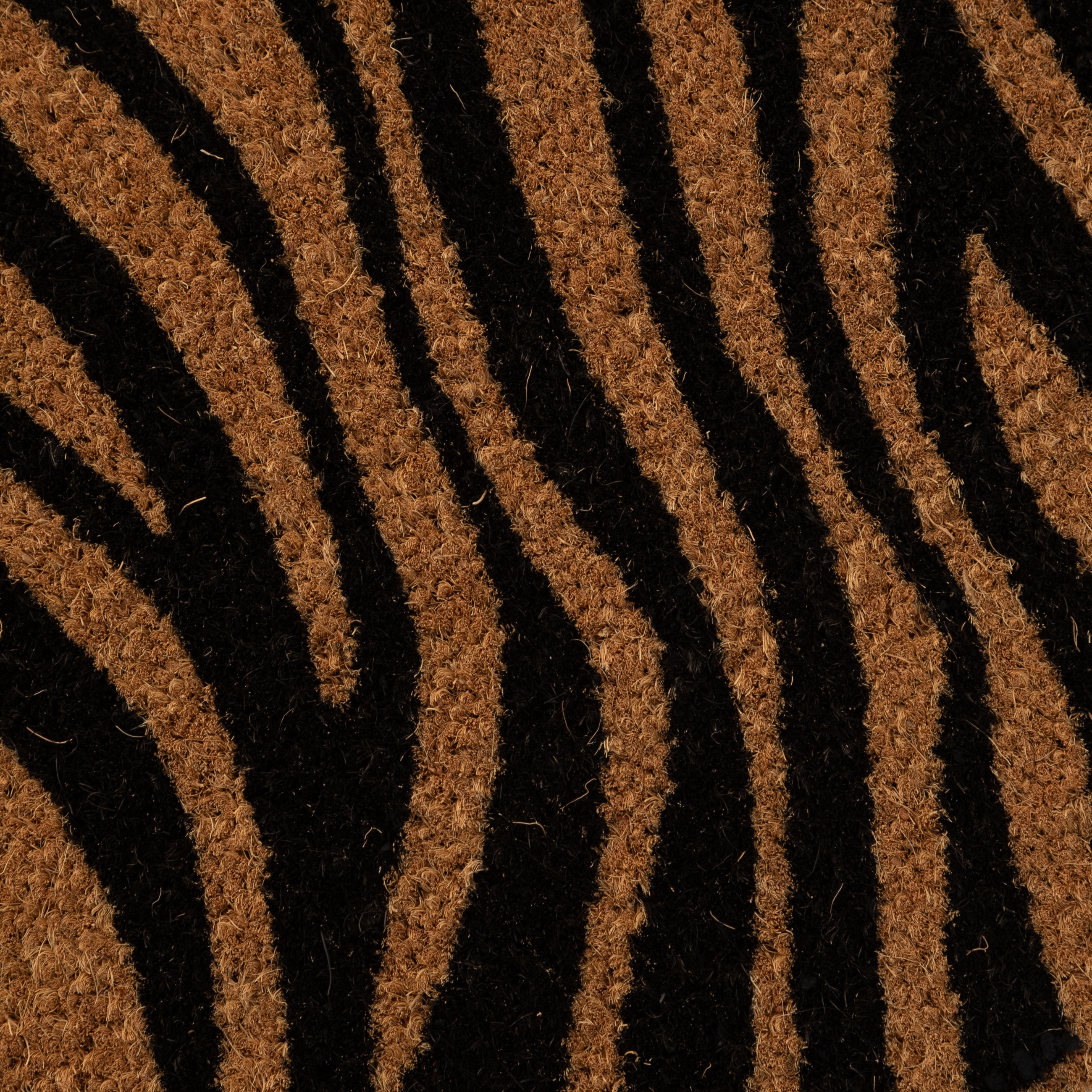WILD ZEBRA KAPI PASPASI 40X60
