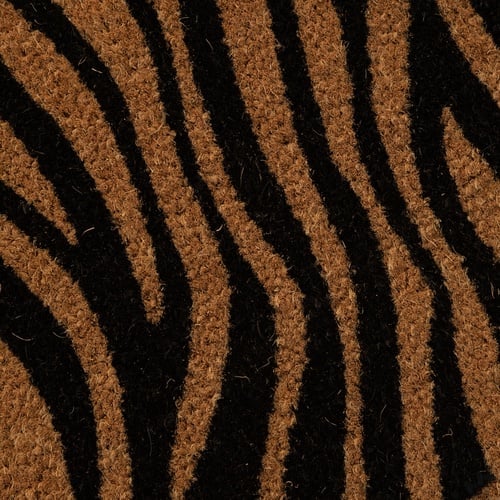 WILD ZEBRA KAPI PASPASI 40X60