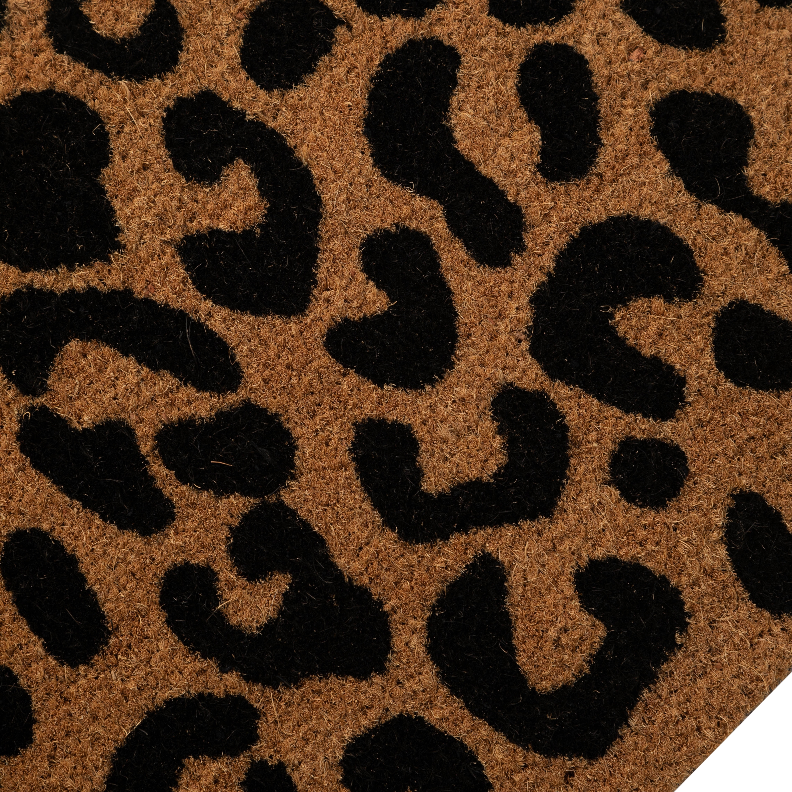 WILD LEOPARD KAPI PASPASI 40X60