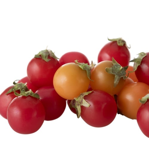 YAPAY PAKET DOMATES