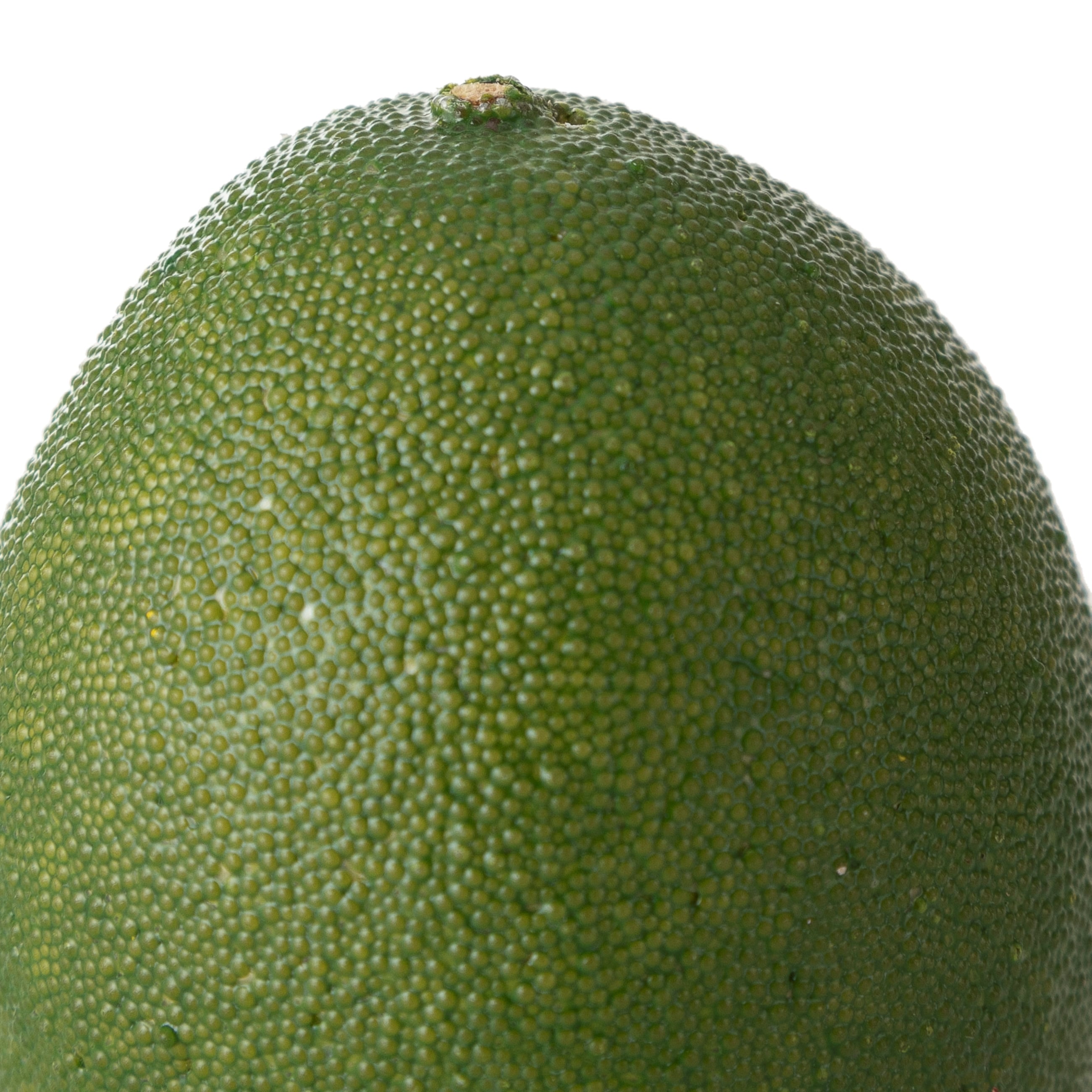 YAPAY YEŞİL LİMON