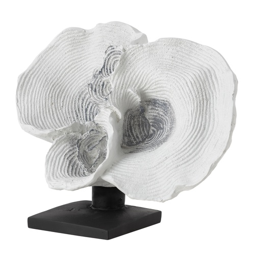 WHITE MERCAN BİBLO 31X14X20 CM