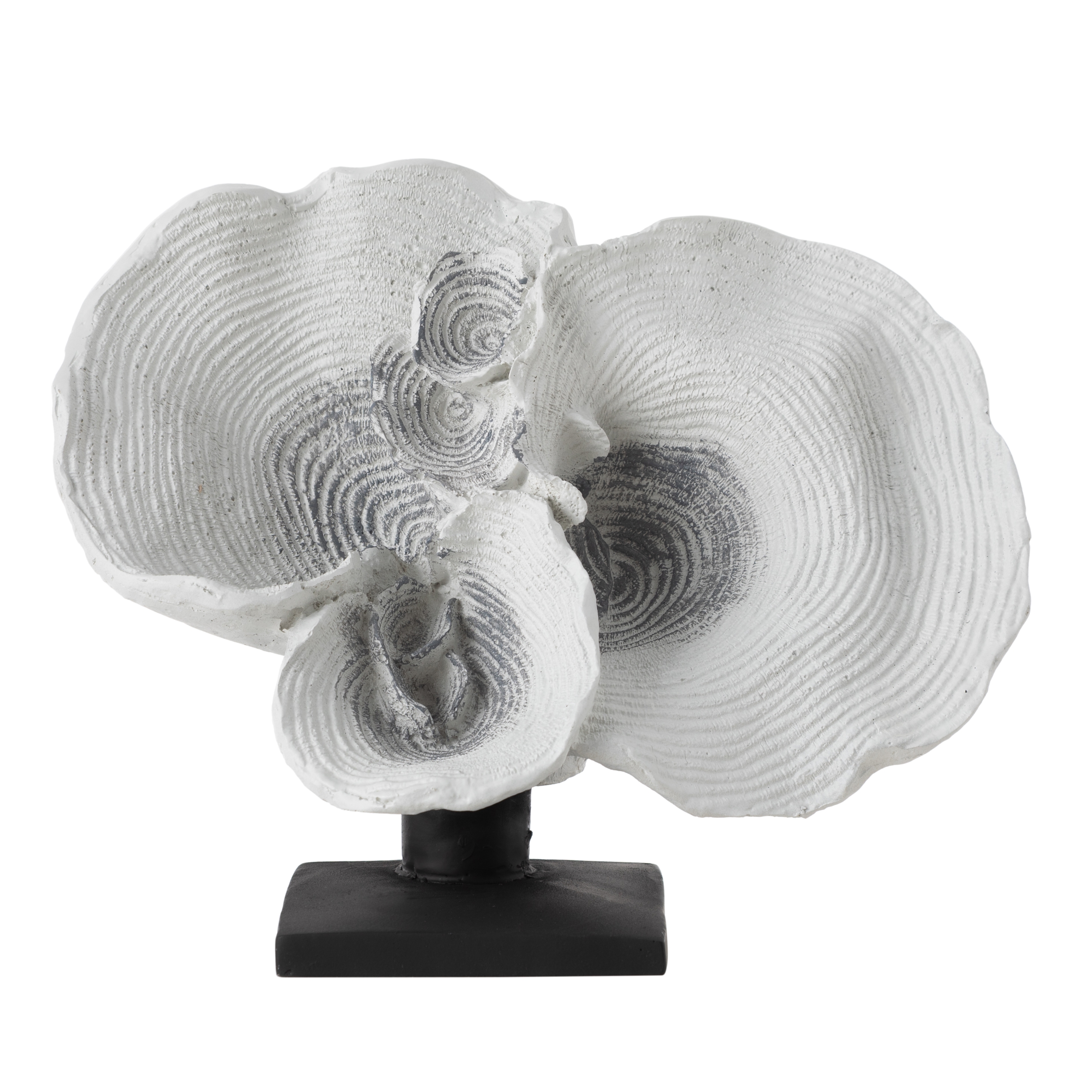 WHITE MERCAN BİBLO 31X14X20 CM