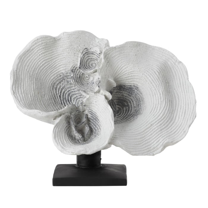 WHITE MERCAN BİBLO 31X14X20 CM