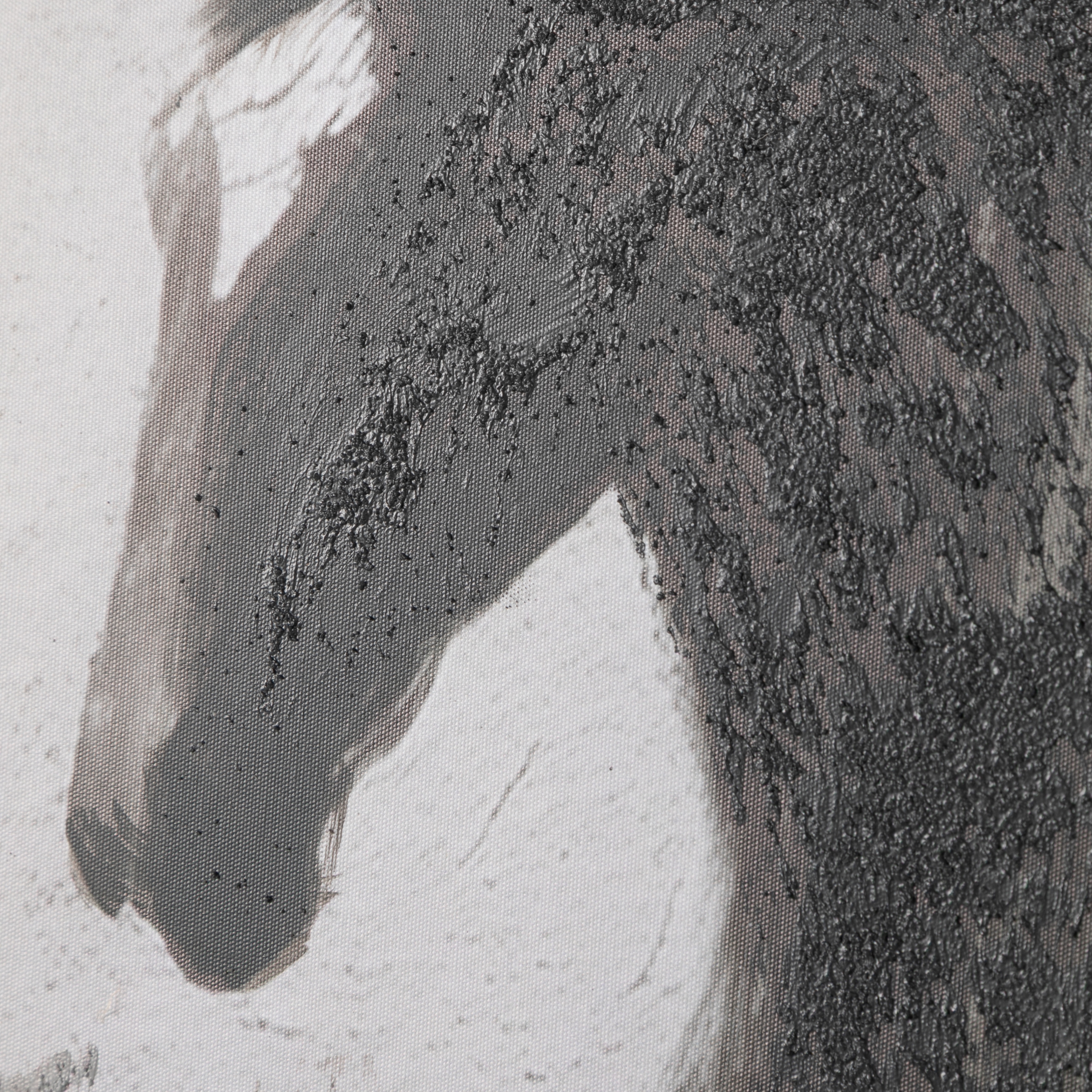 STALLIONS ÇERÇEVELİ YAĞLIBOYA TABLO 100X150 CM