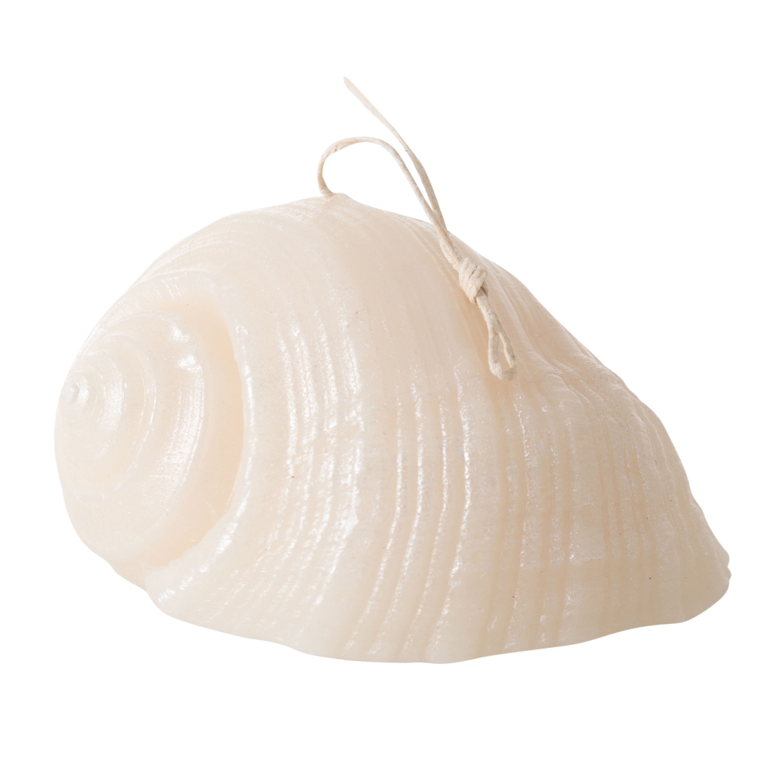 DENİZ KABUĞU MUM 11X9CM