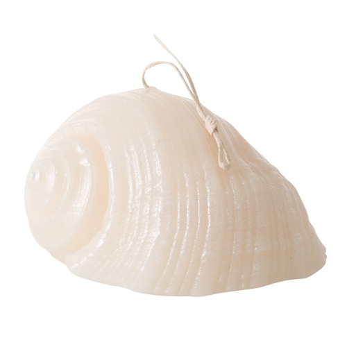 DENİZ KABUĞU MUM 11X9CM