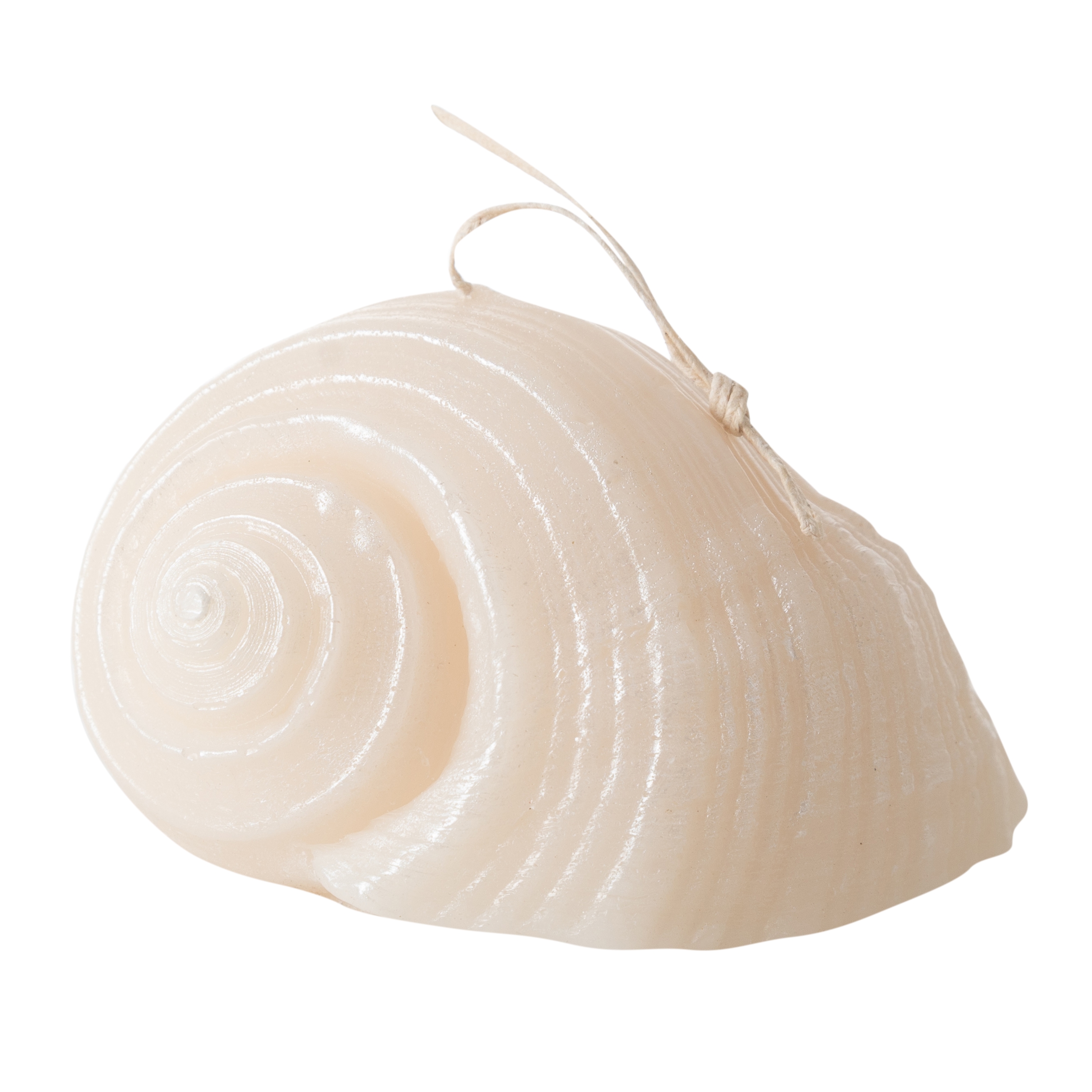 DENİZ KABUĞU MUM 11X9CM