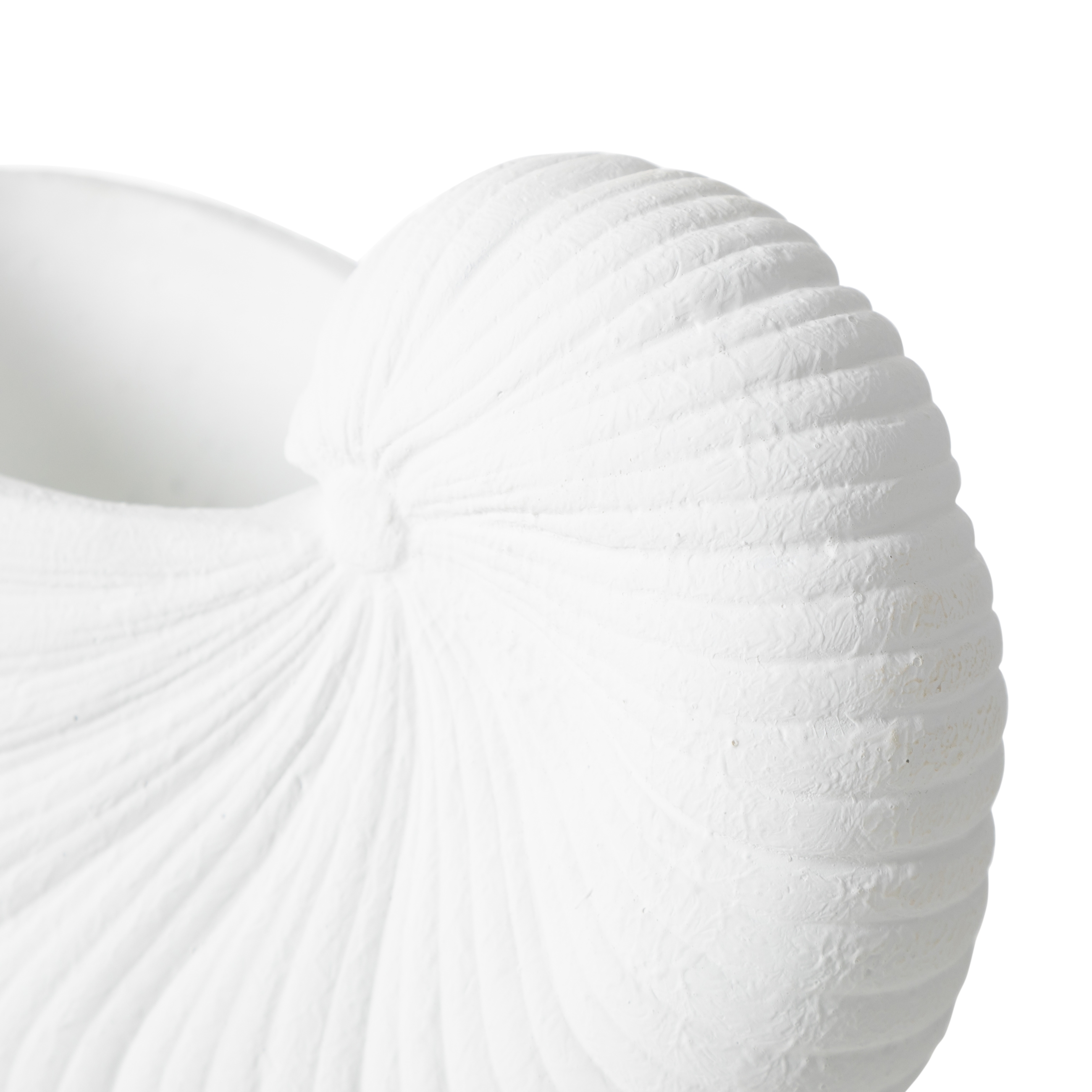WHITE SHELL VAZO 26X13X19 CM
