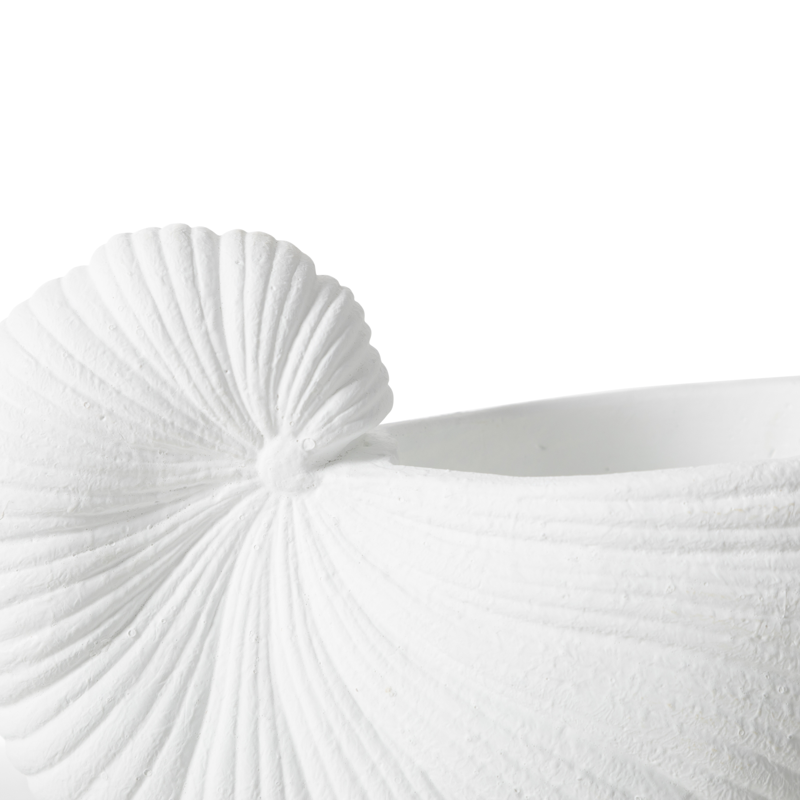 WHITE SHELL VAZO 21X10X15 CM