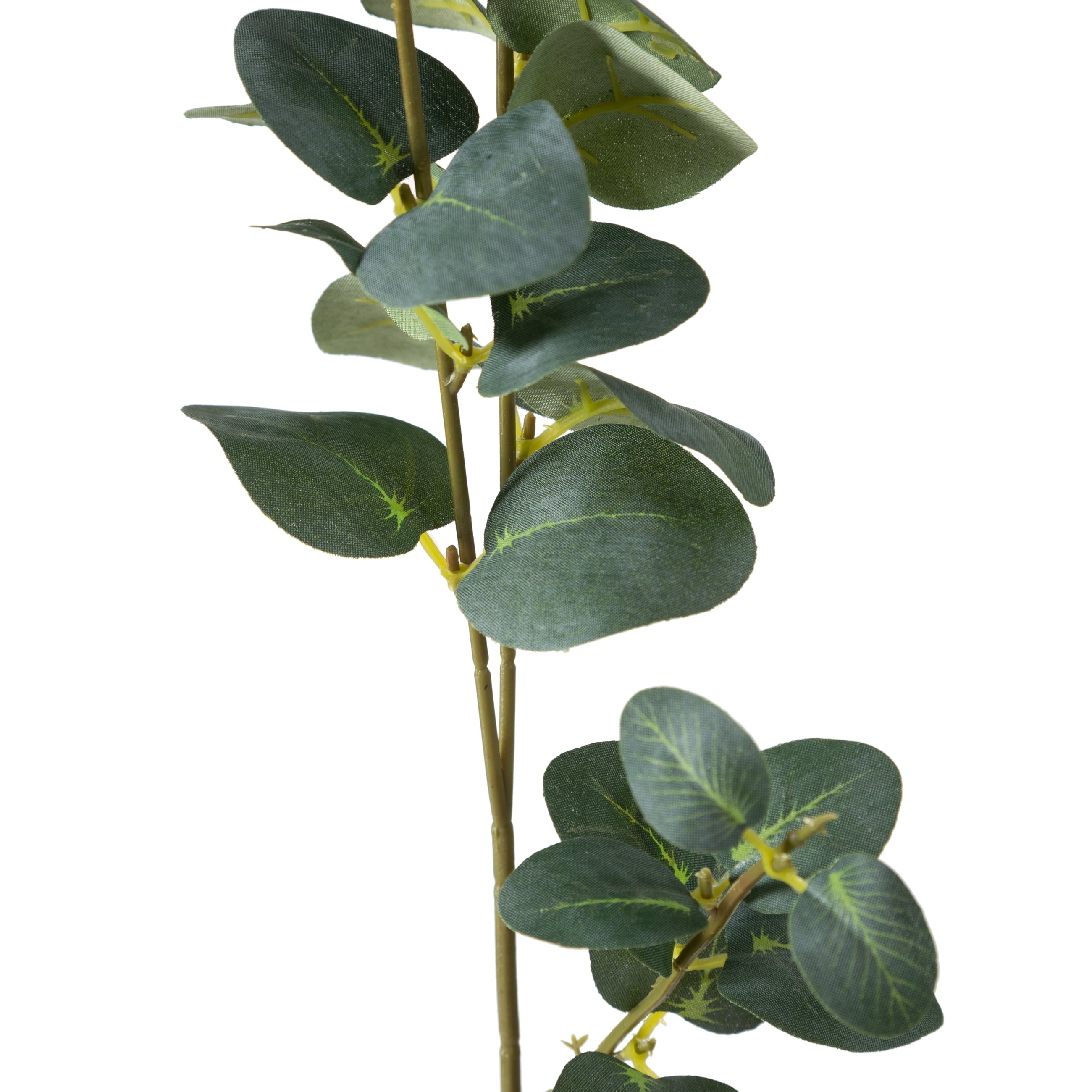 AURA DAL ÇİÇEK 70 CM