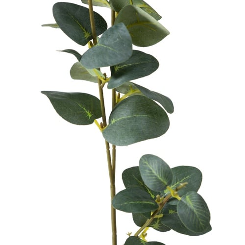 AURA DAL ÇİÇEK 70 CM