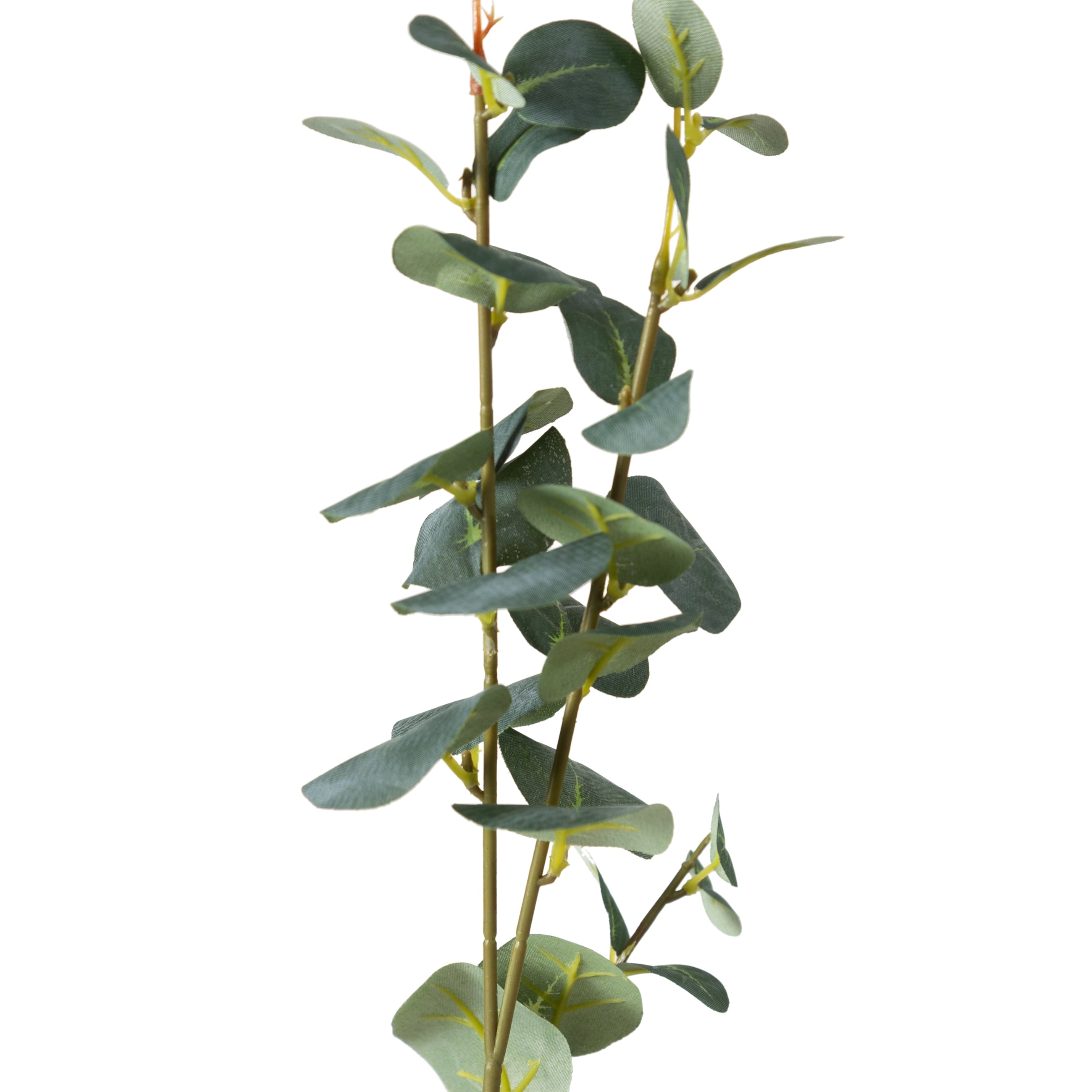 AURA DAL ÇİÇEK 70 CM