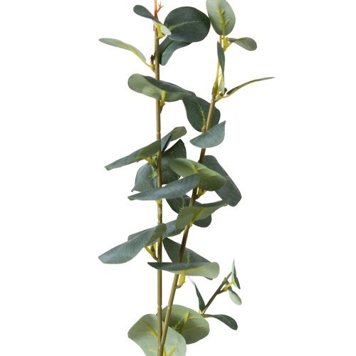 AURA DAL ÇİÇEK 70 CM