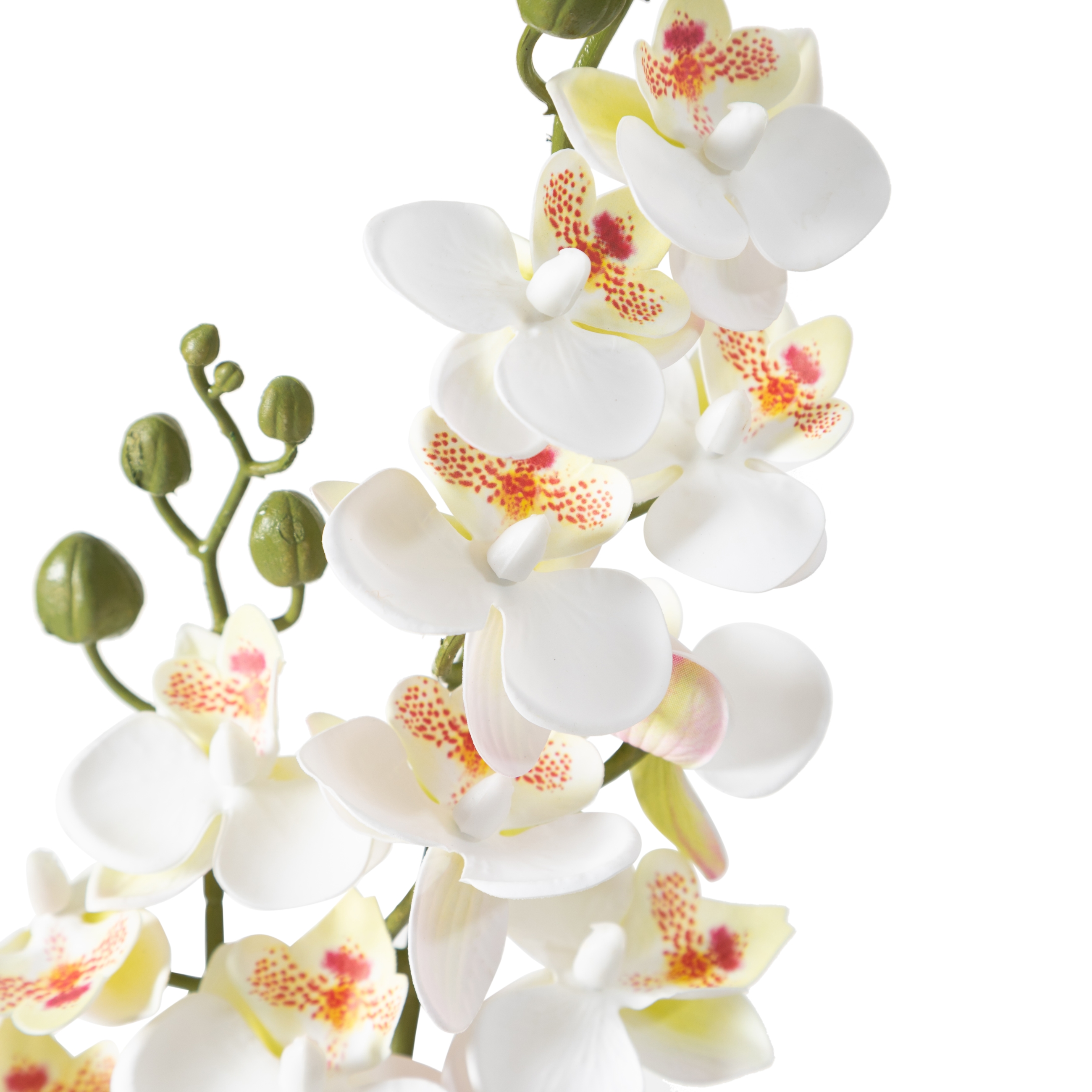 DELPHIRA DAL ÇİÇEK BEYAZ 62 CM