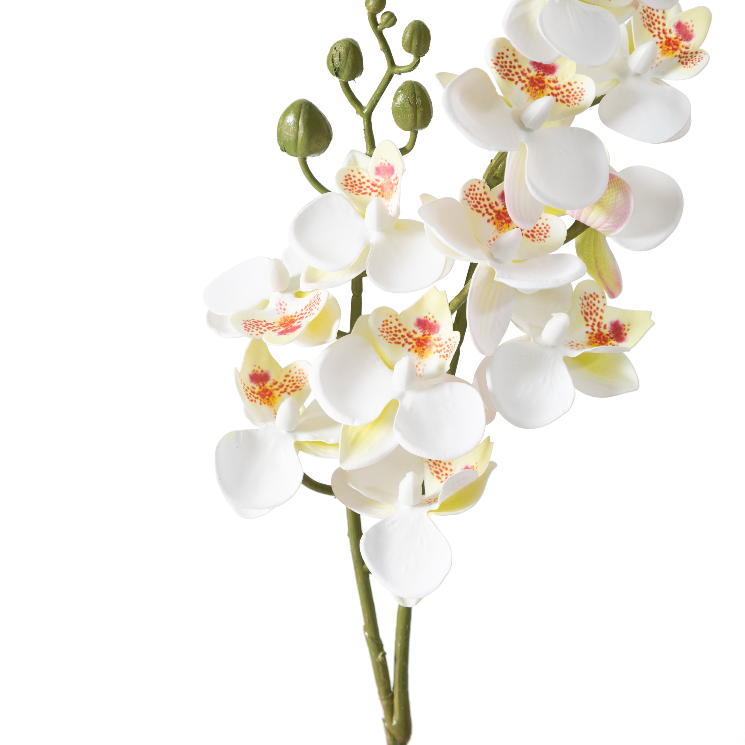 DELPHIRA DAL ÇİÇEK BEYAZ 62 CM