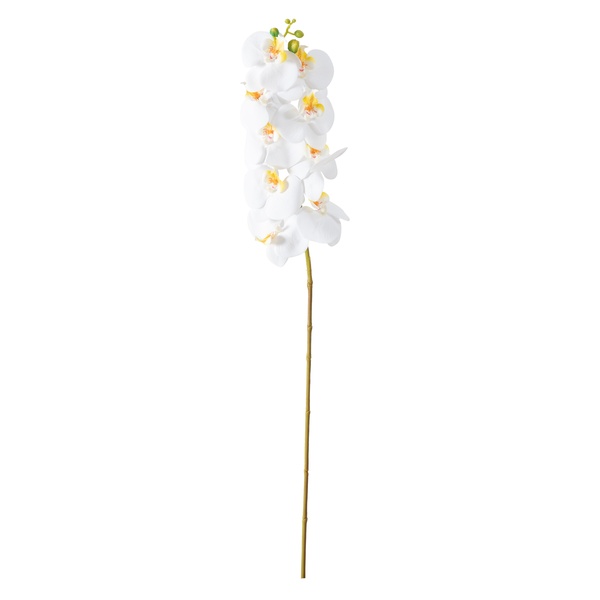 Mudo Home  Orkide Dal Çiçek Beyaz 92 Cm