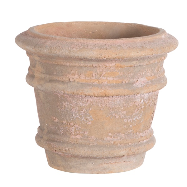 Mudo Concept  Dekoratif Saksi