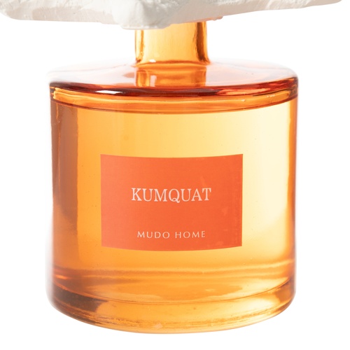  TAŞ STARFISH KUMQUAT ODA KOKUSU 500ML