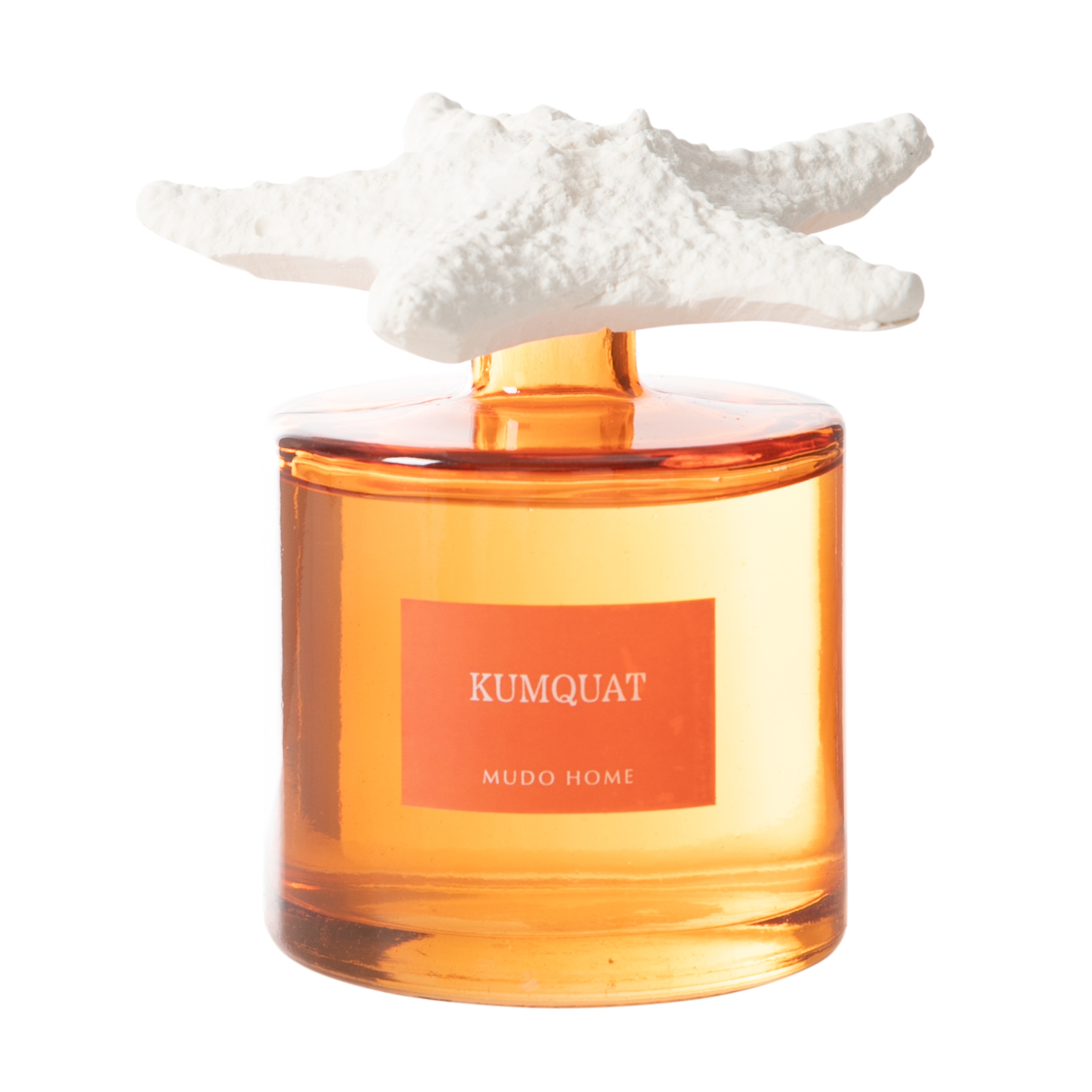 TAŞ STARFISH KUMQUAT ODA KOKUSU 500ML