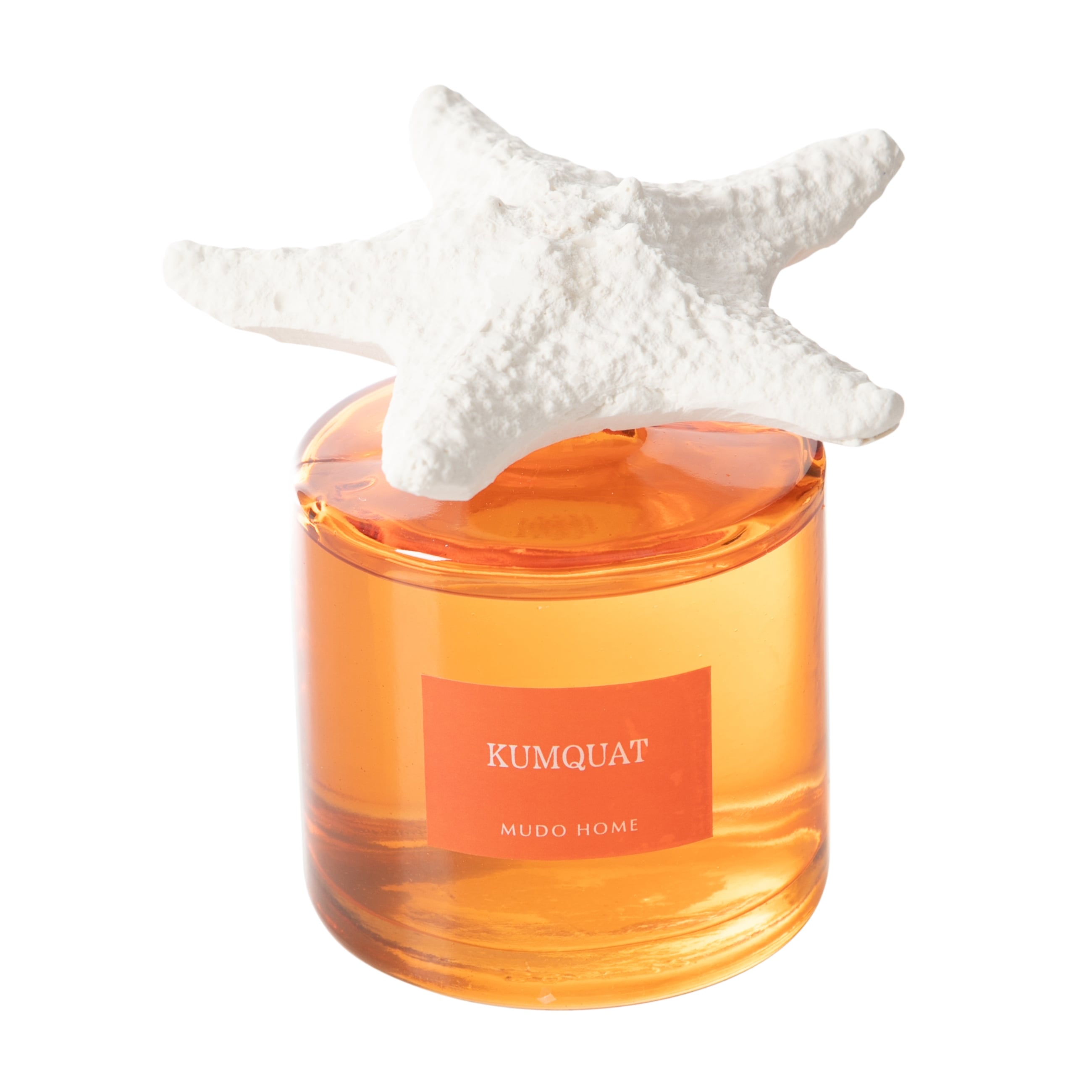 TAŞ STARFISH KUMQUAT ODA KOKUSU 500ML