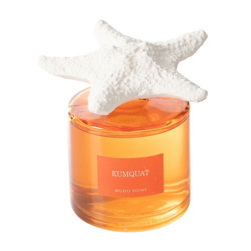 TAŞ STARFISH KUMQUAT ODA KOKUSU 500ML