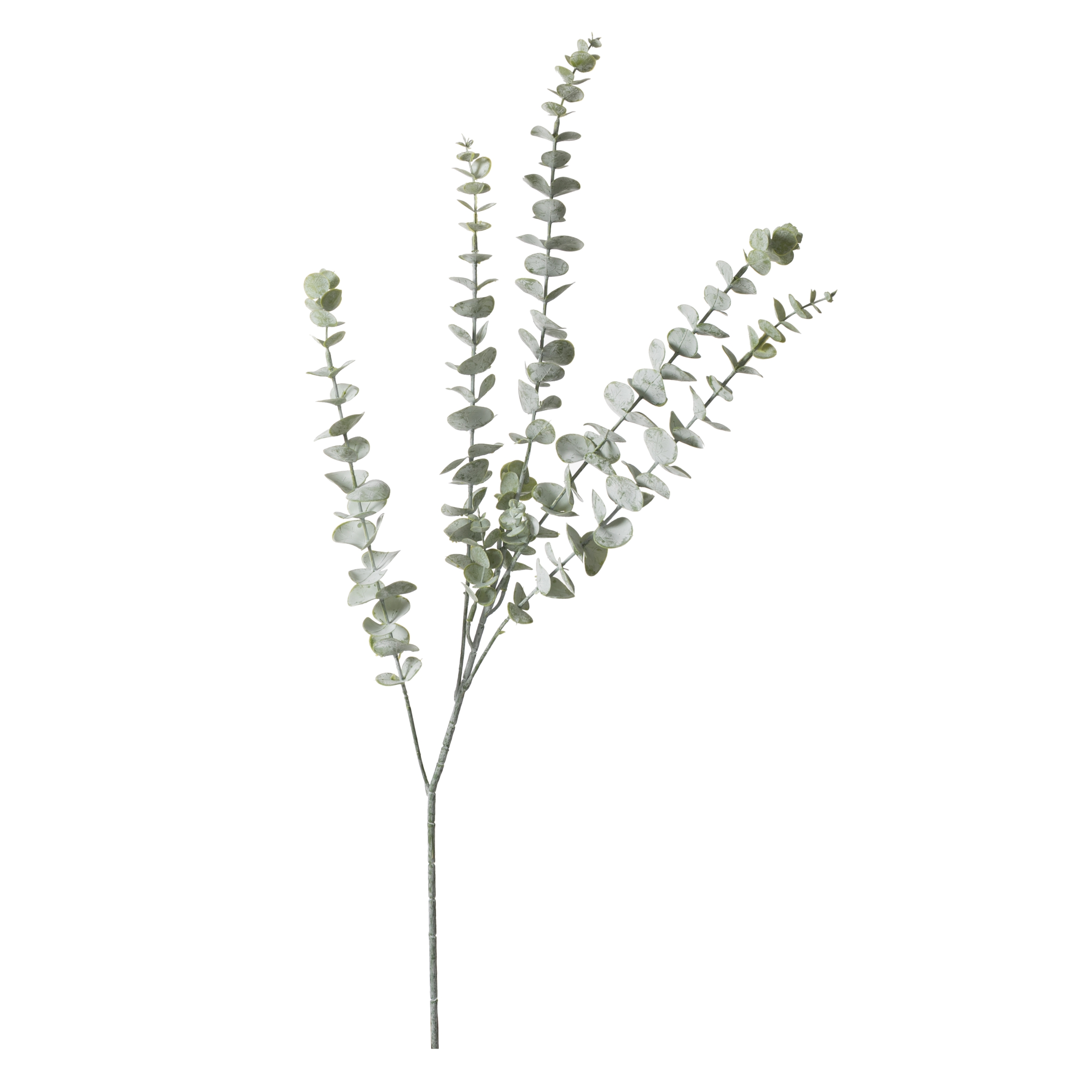 OKALİPTÜS DAL ÇİÇEK 76 CM
