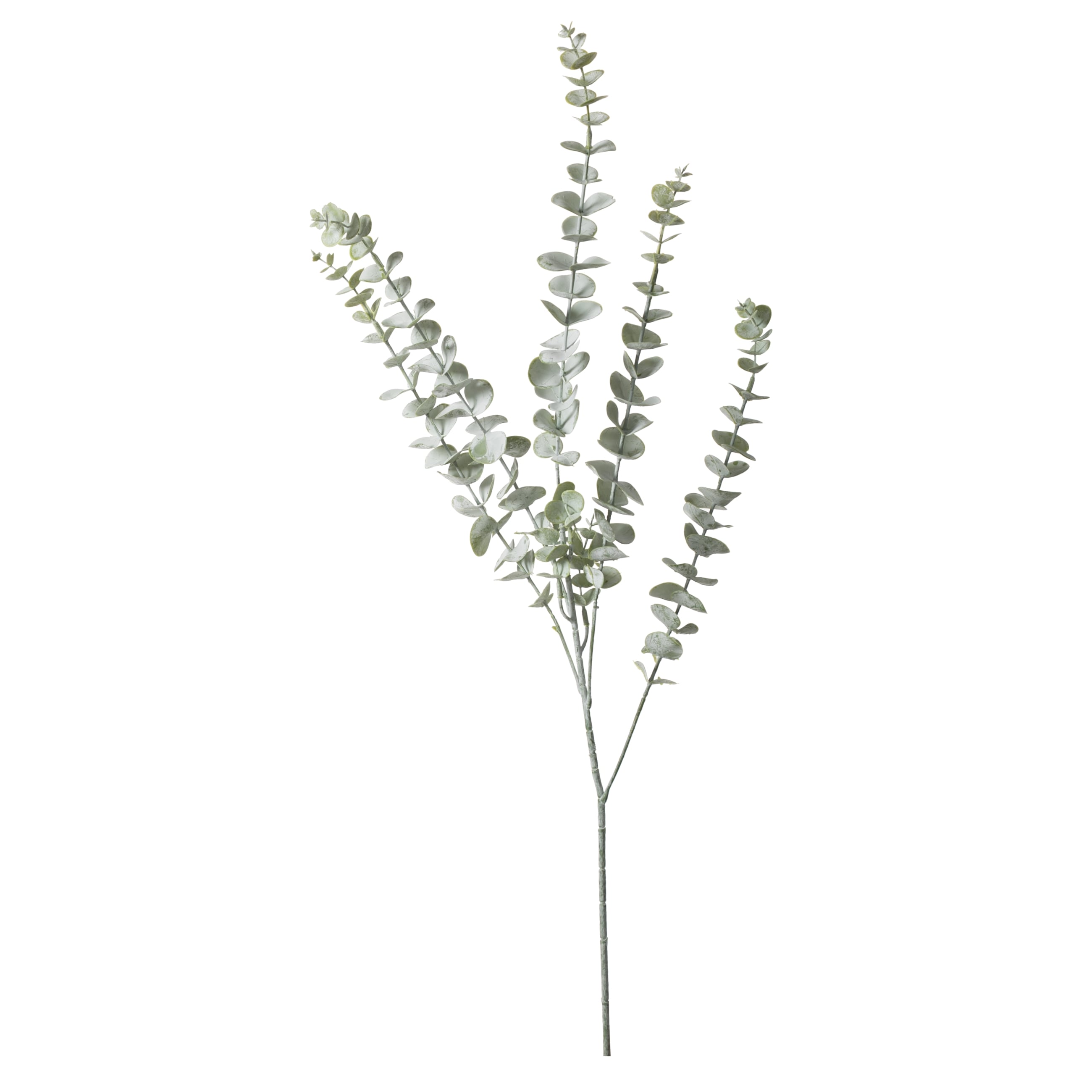 OKALİPTÜS DAL ÇİÇEK 76 CM