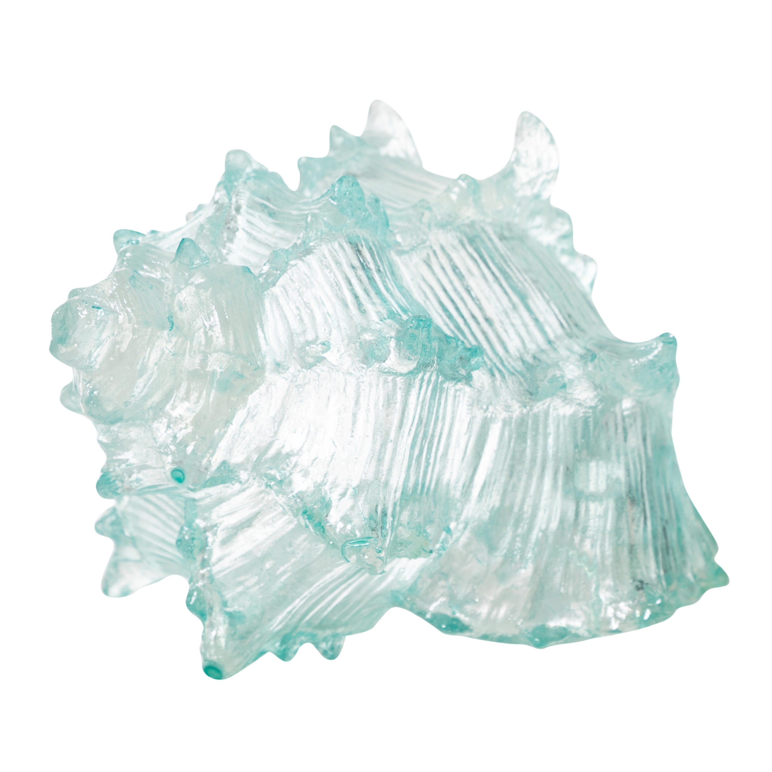 OCEAN SHELL BİBLO  20X16X12 CM