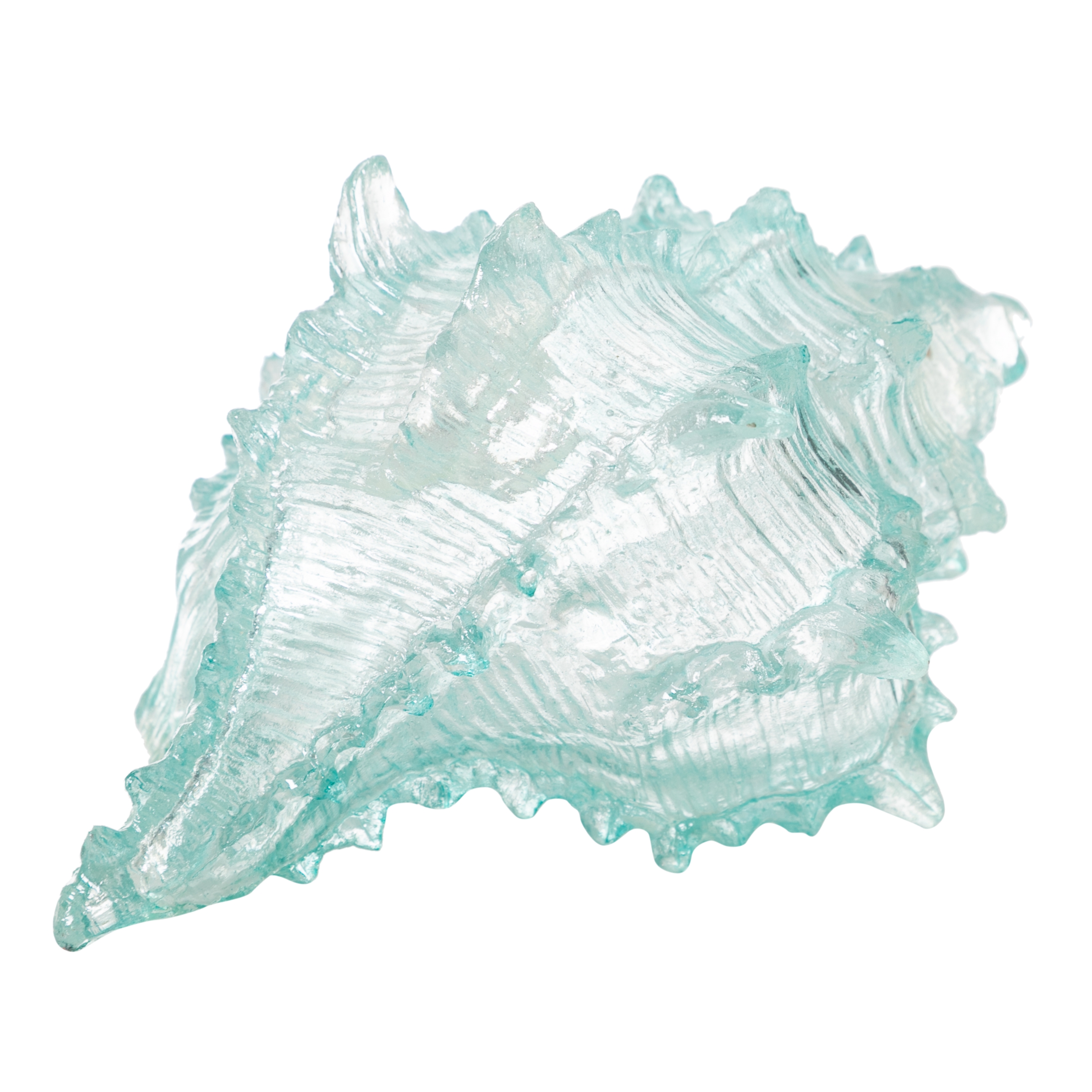 OCEAN SHELL BİBLO  20X16X12 CM