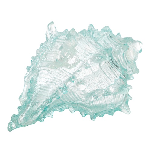  OCEAN SHELL BİBLO  20X16X12 CM