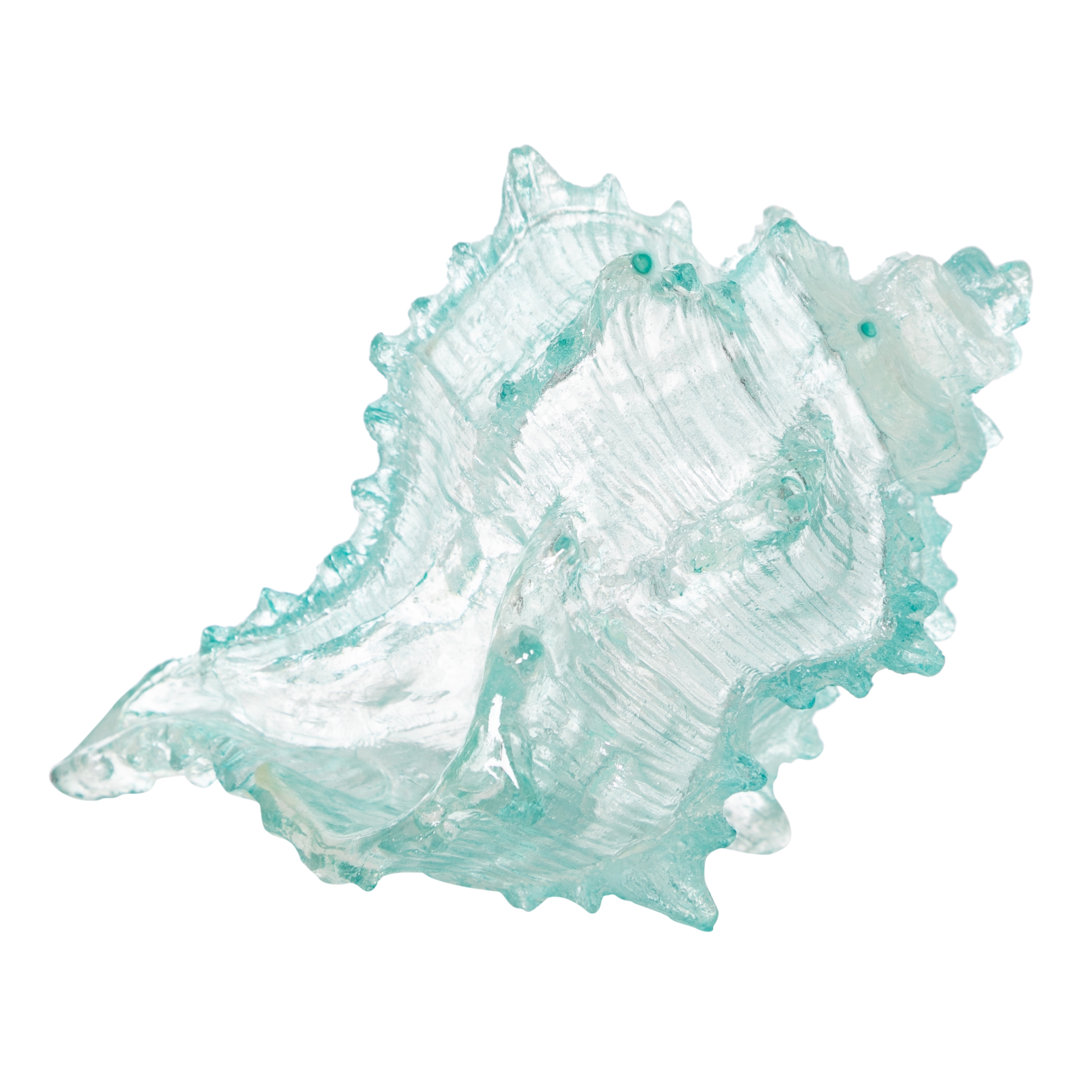 OCEAN SHELL BİBLO  20X16X12 CM