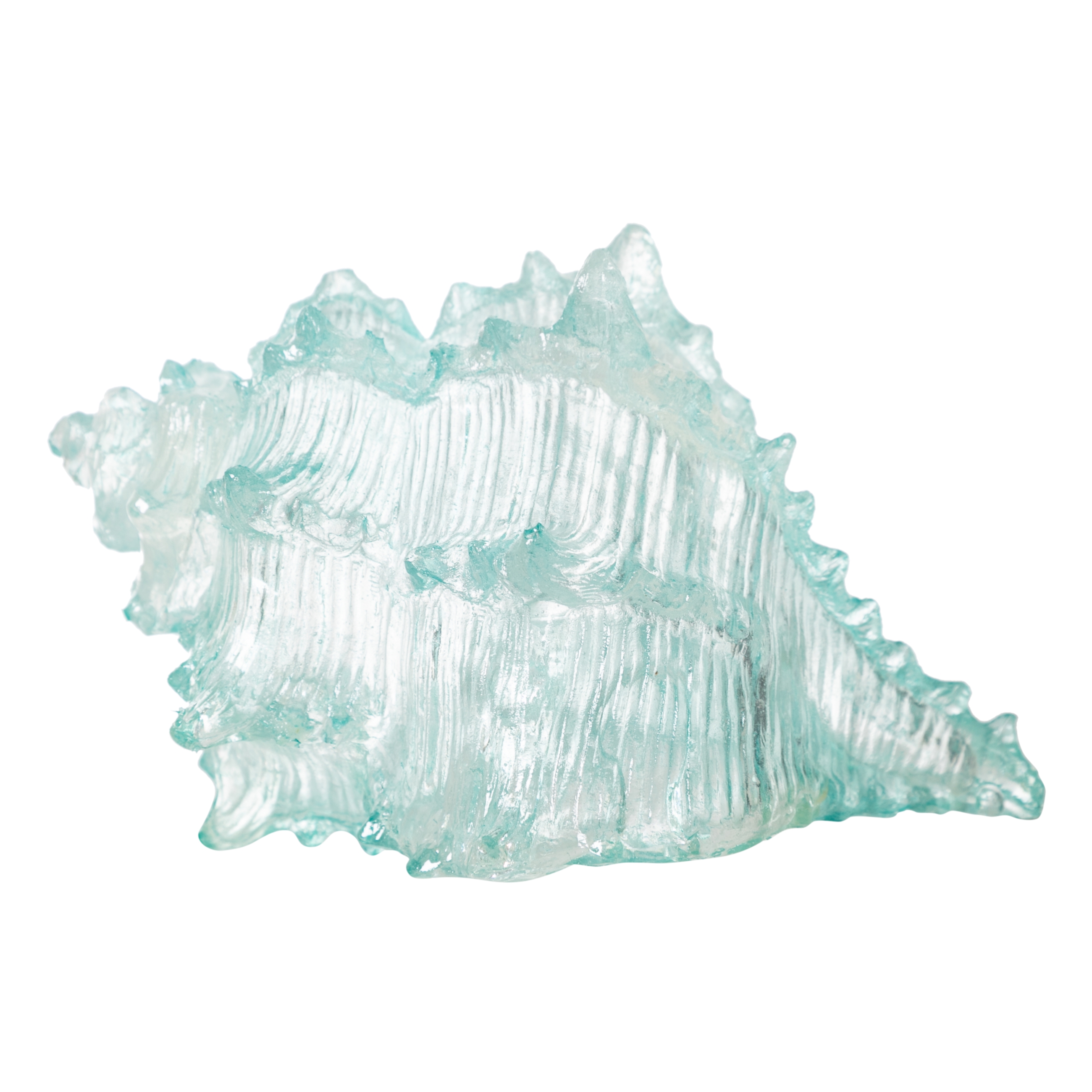 OCEAN SHELL BİBLO  20X16X12 CM