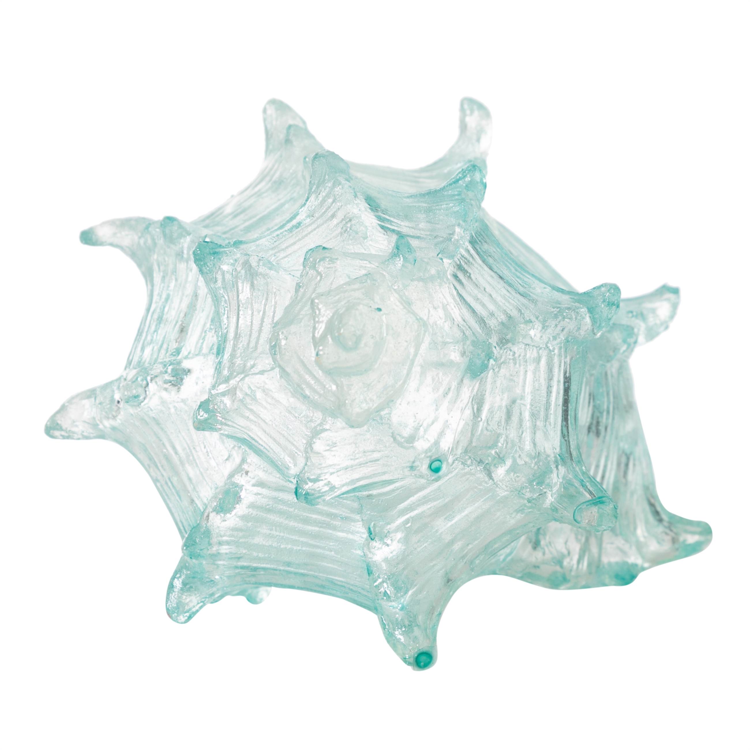 OCEAN SHELL BİBLO  20X16X12 CM