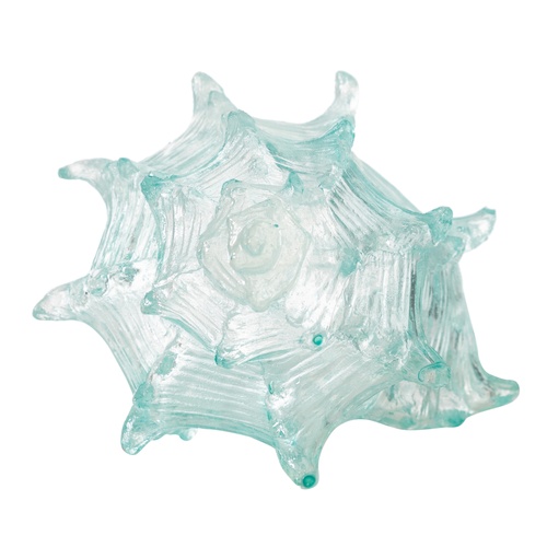 OCEAN SHELL BİBLO  20X16X12 CM