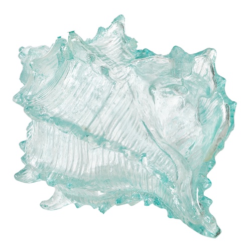  OCEAN SHELL BİBLO  20X16X12 CM