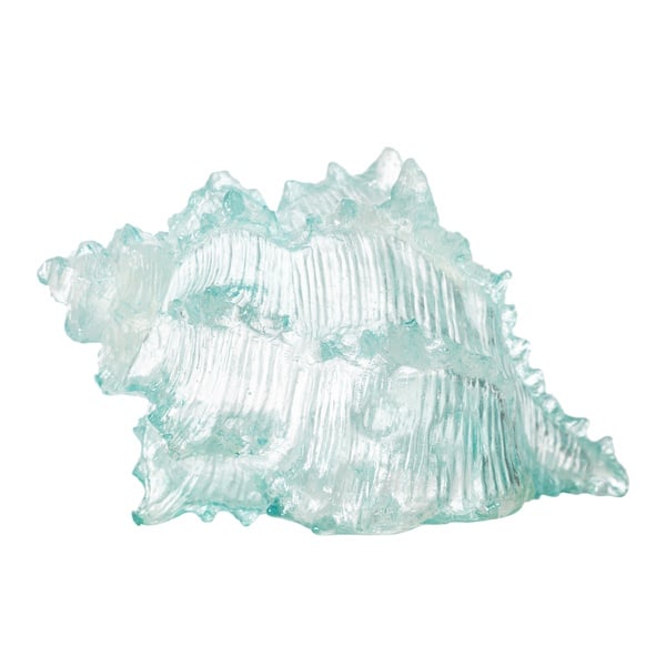 Mudo Home  Ocean Shell Biblo  20X16X12 Cm