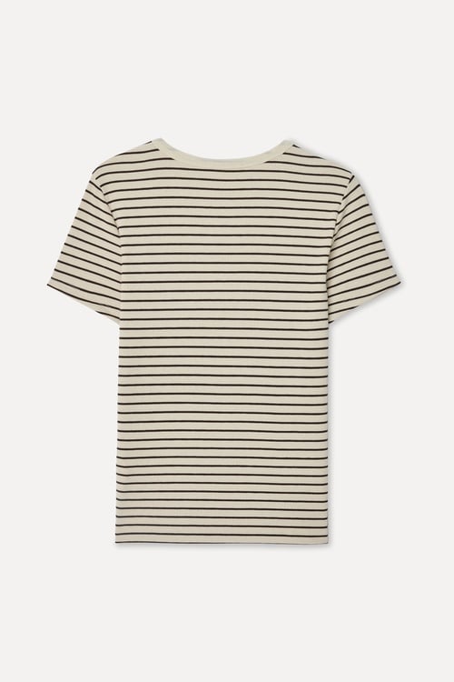 Kadın Sarı Çizgili Fitted Bisiklet Yaka T-Shirt