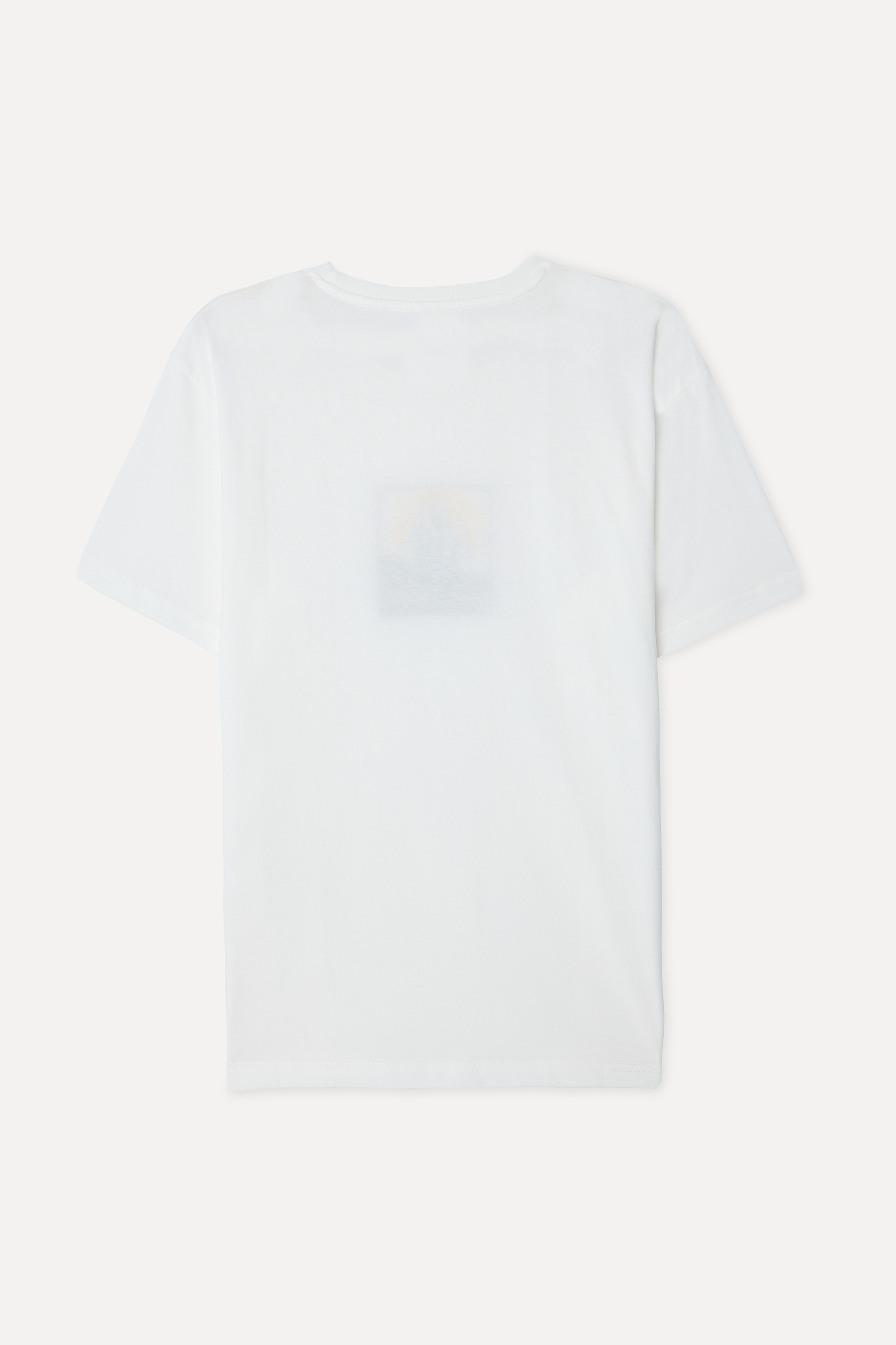 Erkek Taş Rengi Nakışlı Oversize Bisiklet Yaka T-Shirt