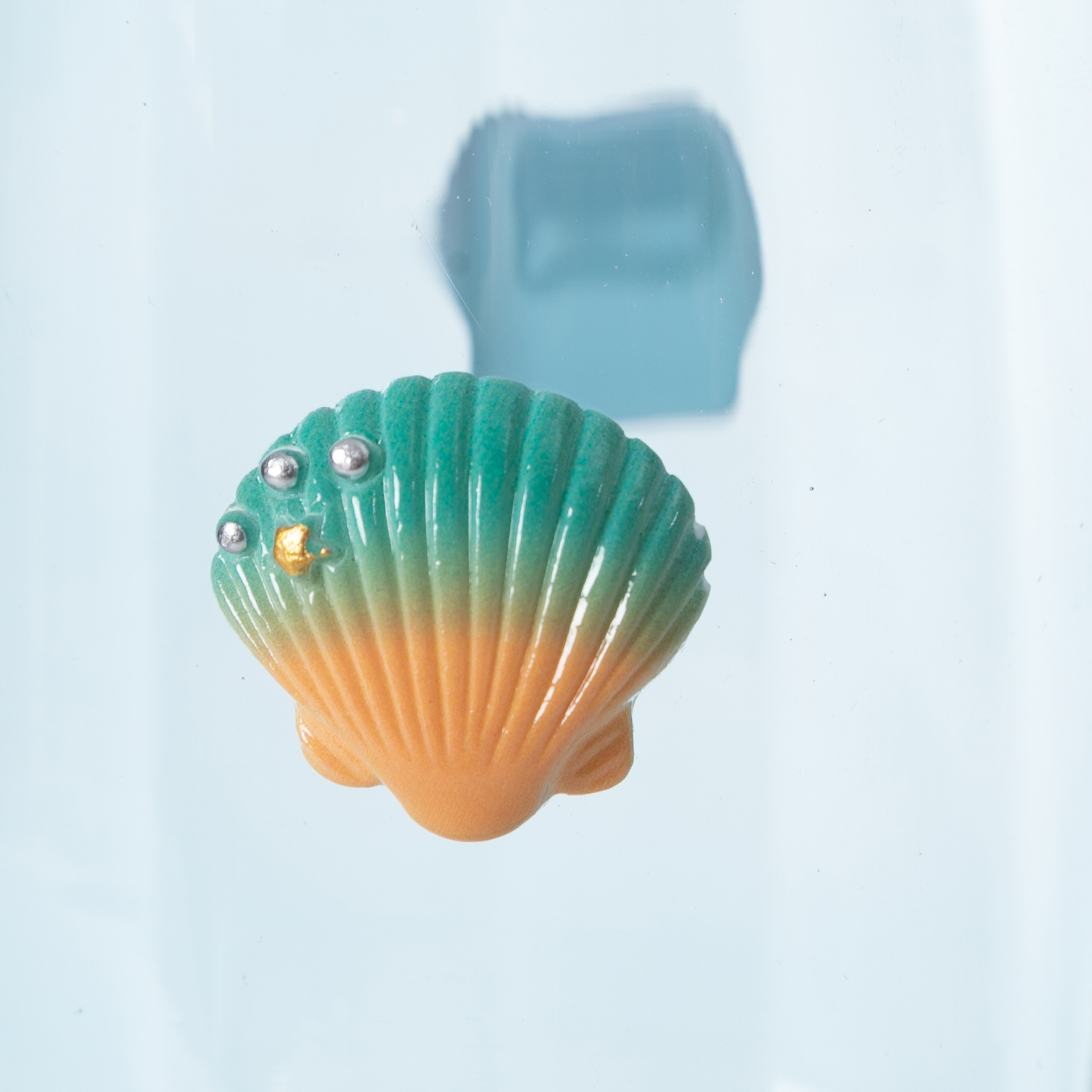 CORAL SHELL VAZO 6X11X17 CM