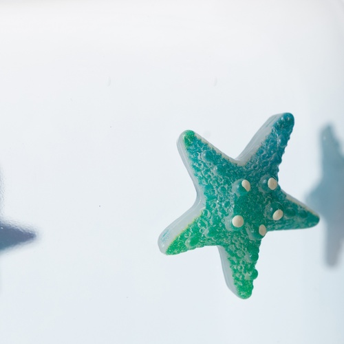  CORAL STAR VAZO 6x13x19 CM
