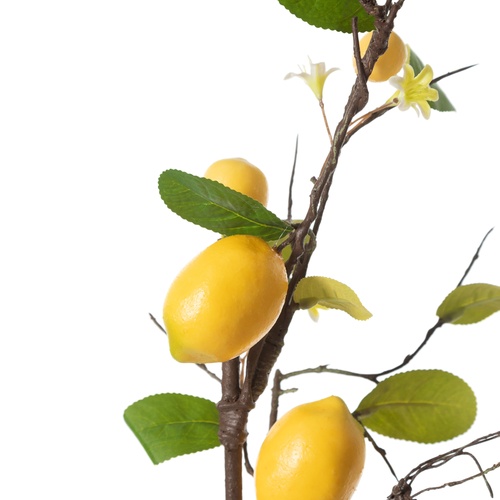 LİMON DAL ÇİÇEK  80 CM
