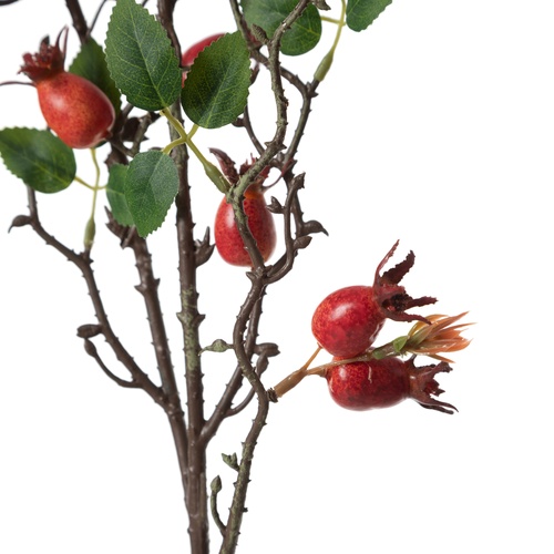 YABAN MERSİNİ DAL ÇİÇEK 65 CM