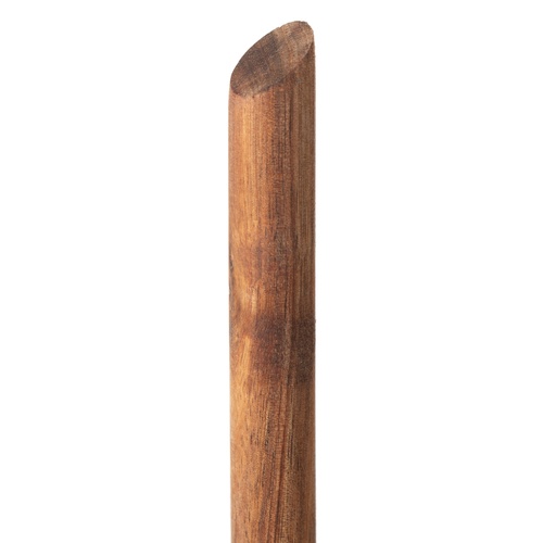 KAĞIT HAVLULUK AKASYA 32CM